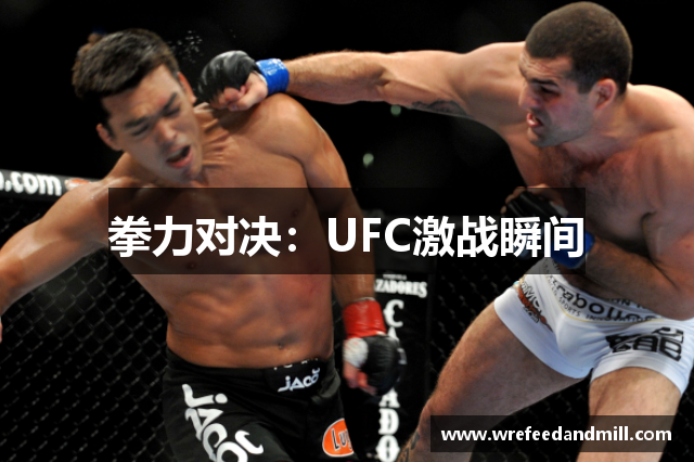 拳力对决：UFC激战瞬间